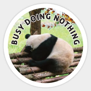 Busy Doing Nothing Panda Sticker